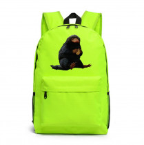 Рюкзак Фантастические твари и где они обитают зеленый №2