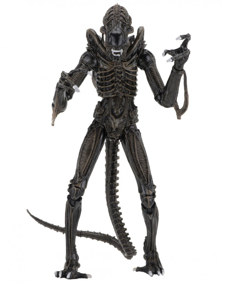 Alien Warrior