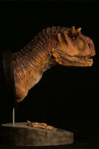 Paleontology World Museum Collection Series Bust Carnotaurus Female Brown Ver. 25 cm