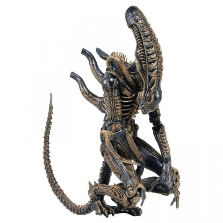 Alien Warrior
